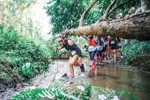 BIB: 
                            <button type="button" onclick="openModal(25475899)" class="btn btn-primary btn-sm float-right btn-popup" data-toggle="modal" data-target=".modal-high-quality">
                        <i class="fas fa-shopping-cart"></i> Add to Cart
                    </button>
                                            <button type="button" onclick="isThisMe(25475899, true)" class="btn btn-success btn-sm float-right btn-popup btn-isme hidden" data-toggle="tooltip" data-placement="bottom" title="นี่คือรูปของคุณใช่ไหม คลิกที่นี่เพื่อเอาเข้าอัลบั้ม">
                        <i class="fas fa-plus"></i> Add to album
                    </button>
                    <button type="button" onclick="isThisMe(25475899, false)" class="btn btn-warning btn-sm float-right btn-popup btn-isnotme hidden">
                        <i class="fas fa-ban"></i> Remove from album
                    </button>